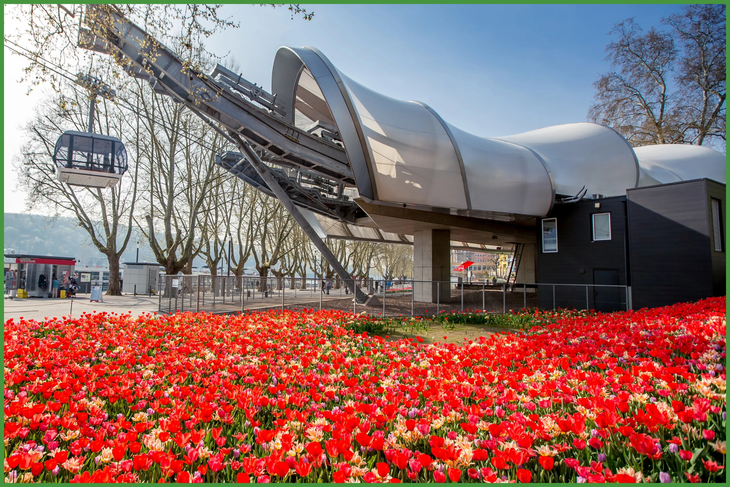Seilbahn mit Tulpen